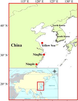 Investigation on Natural Infection of Covert Mortality Nodavirus in Large Yellow Croaker, Larimichthys crocea